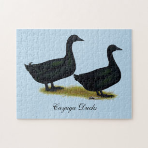 Puzzle Patos: Cayugas negro
