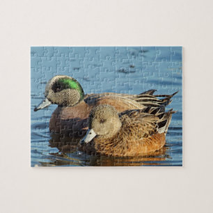 Puzzle Patos de cirujano americano (Drake y Hen)