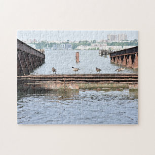 Puzzle Patos en el río Hudson, Nueva York, fotografía