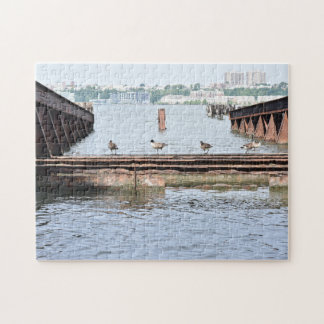 Puzzle Patos en el río Hudson, Nueva York, fotografía