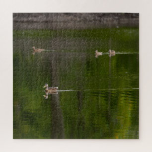 Puzzle Patos en un lago verde