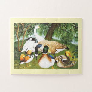Puzzle Patos, gansos y aves cisnes