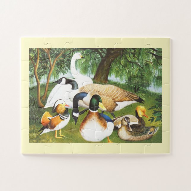 Puzzle Patos, gansos y aves cisnes (Horizontal)