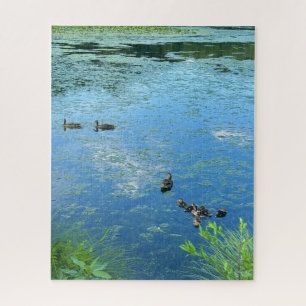 Puzzle Patos y pollos en el desafío del agua