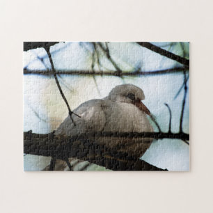 Puzzle Patrón de línea