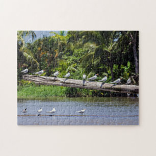 Puzzle Patrones reales, estuario del río Tortuguero - Cos