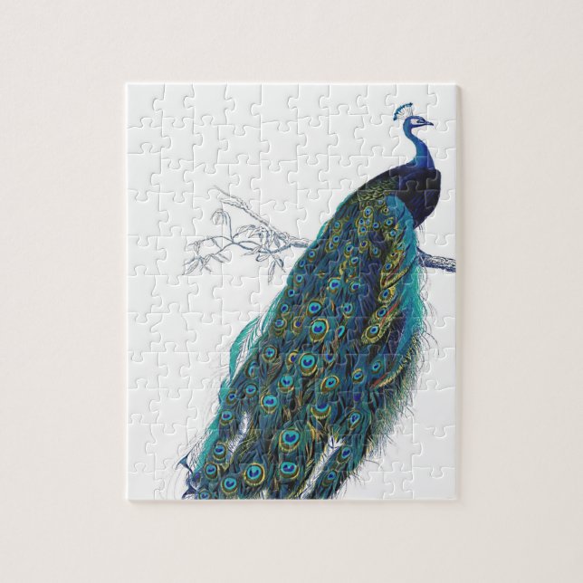 Puzzle Pavo azul con hermosas plumas de cola (Vertical)