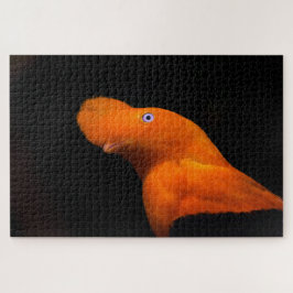 Puzzle Pavo de rock andino