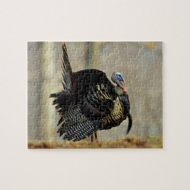 Puzzle Pavo macho pavoneándose, Illinois (Horizontal)