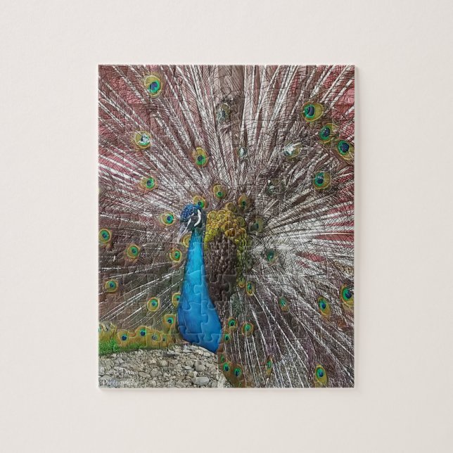 Puzzle Pavo real  (Vertical)