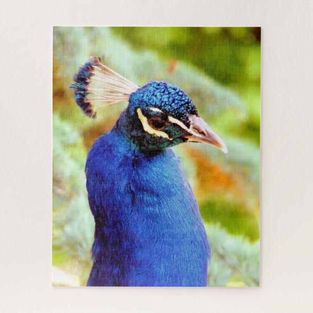 Puzzle pavo real  (Vertical)