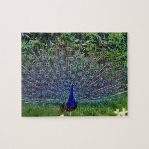 Puzzle Pavo Real Arte Indio Destino Patrón Colorido Pájar