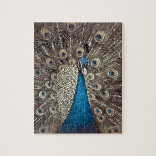 Puzzle Pavo Real Azul Antiguo
