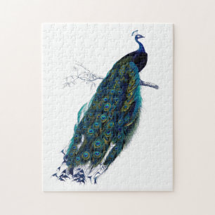 Puzzle Pavo Real Azul Elegante