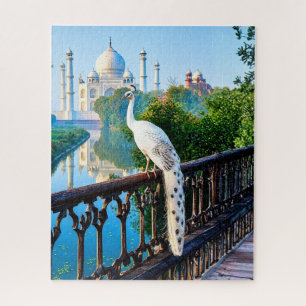 Puzzle Pavo real blanco con vista al Taj Mahal
