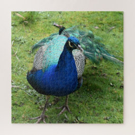 Puzzle Pavo Real Poderoso