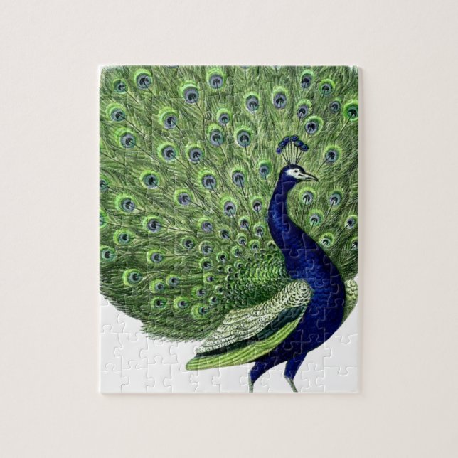 Puzzle Pavo real vintage (Vertical)