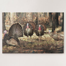 Puzzle Pavo silvestre en el bosque Ave