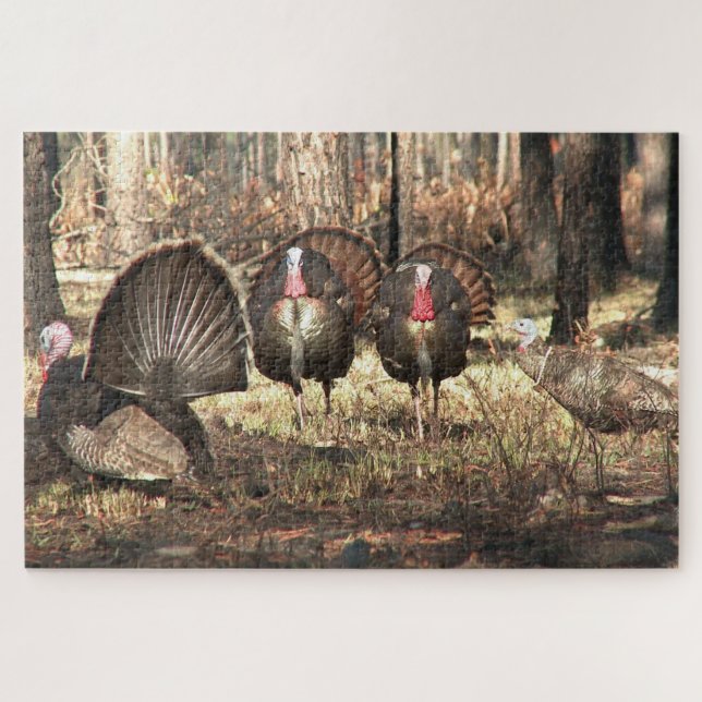 Puzzle Pavo silvestre en el bosque Ave (Horizontal)