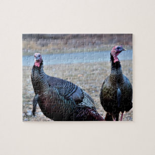 Puzzle Pavos salvajes