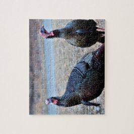 Puzzle Pavos salvajes
