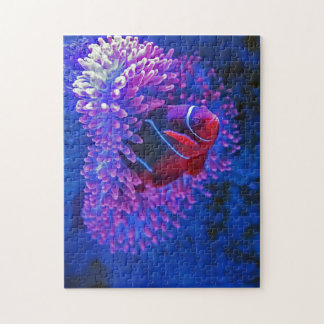 Puzzle Payaso Fish Coral Arrecife Criaturas del Mar Espec