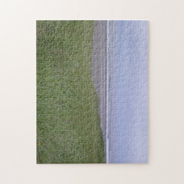 Puzzle paz oceánica (Vertical)