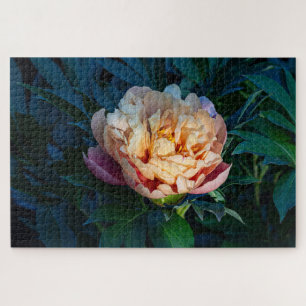 Puzzle Peach Peony - Fotografía romántica de las flores