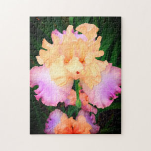 Puzzle Peach & Purple Iris