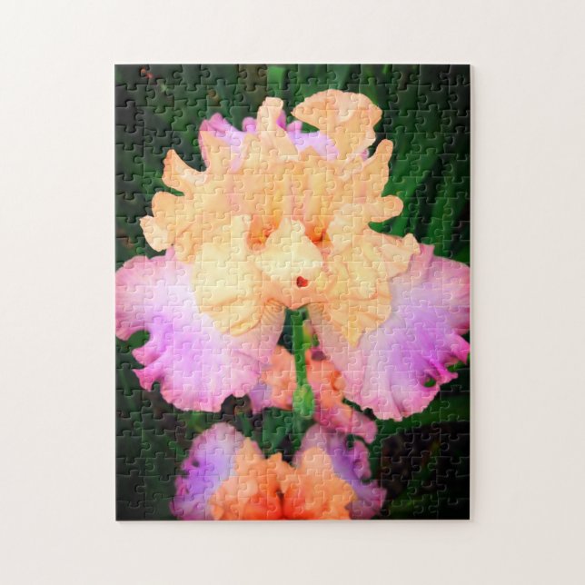 Puzzle Peach & Purple Iris (Vertical)