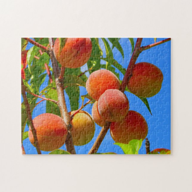 Puzzle Peach tree (Horizontal)