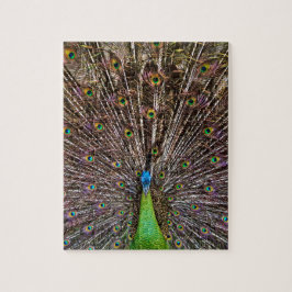 Puzzle Peacock