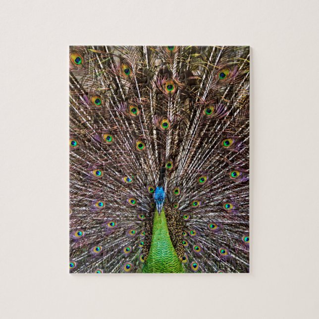 Puzzle Peacock (Vertical)