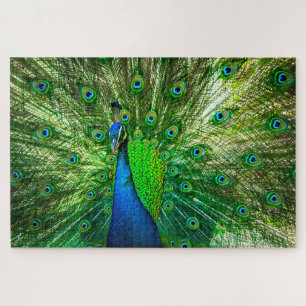 Puzzle Peacock
