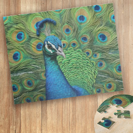 Puzzle Peacock Feathers