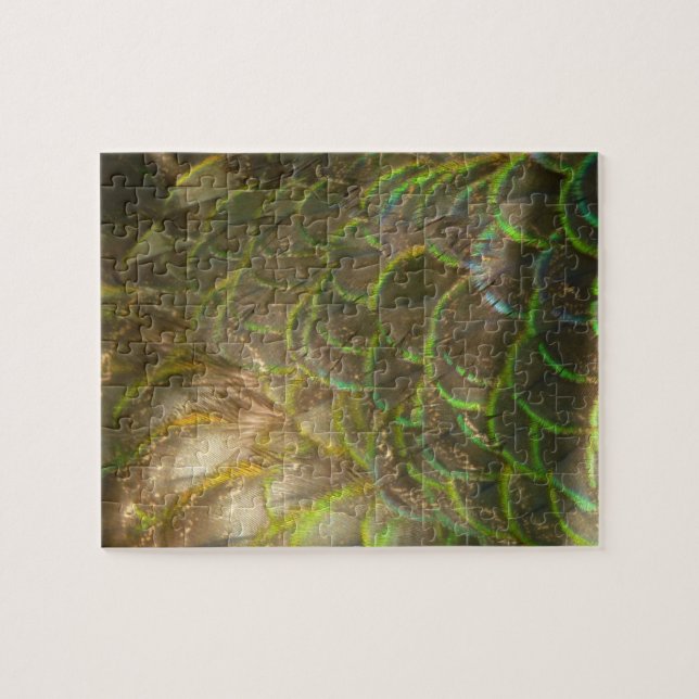 Puzzle Peacock Feathers III (Mujer) Diseño de la Naturale (Horizontal)