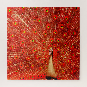 Puzzle Peacock Rojo Mostrando Sus Pintores Rojos,