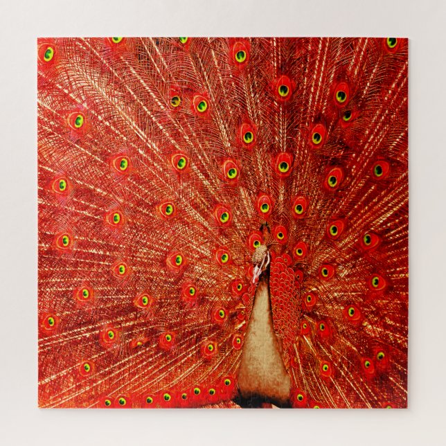 Puzzle Peacock Rojo Mostrando Sus Pintores Rojos, (Vertical)