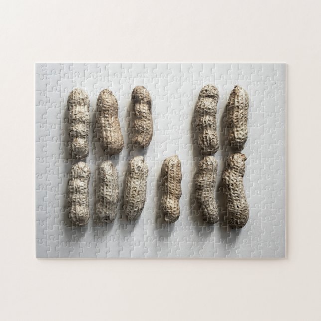 Puzzle Peanuts Still Life Bella Artes Photograph (Horizontal)