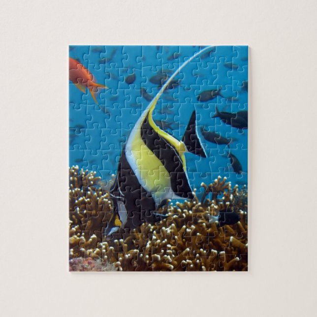 Puzzle Peces tropicales (Vertical)