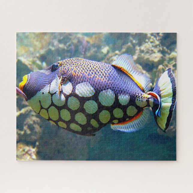 Puzzle Peces Tropicales (Horizontal)