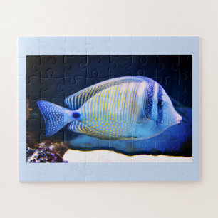 Puzzle Peces tropicales