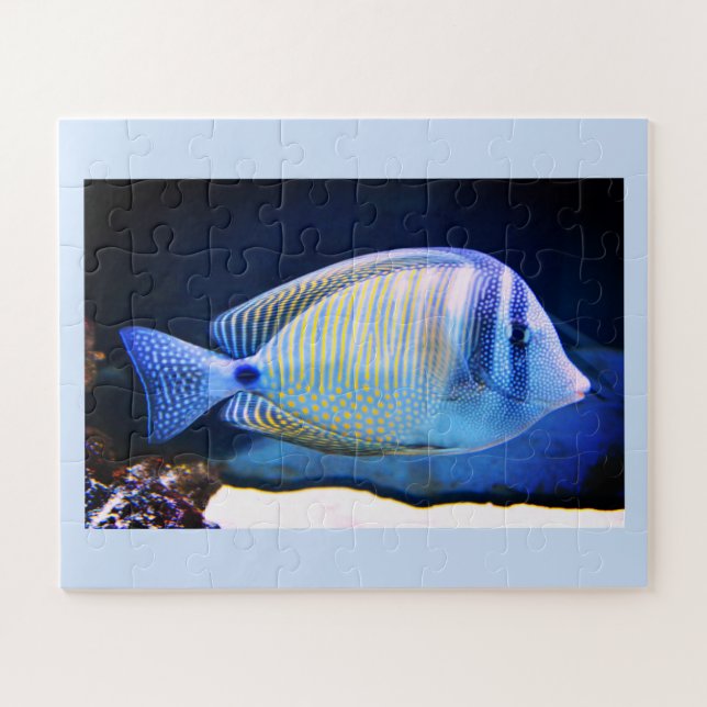 Puzzle Peces tropicales (Horizontal)