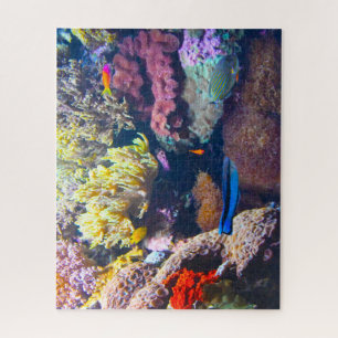 Puzzle Peces tropicales en un acuario.