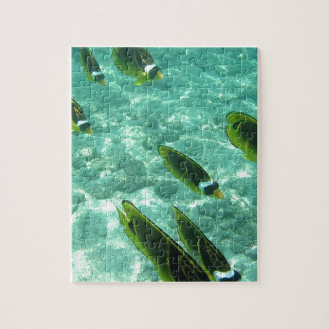 Puzzle Peces tropicales subacuáticos (Vertical)