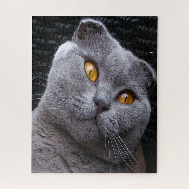 Puzzle Pedigrí de Gato Fold Escocés (Vertical)