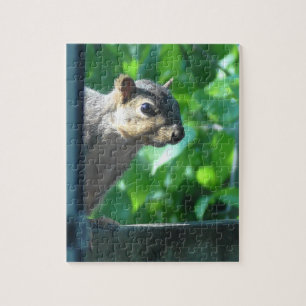 Puzzle Peek a Boo Funny Squirrel