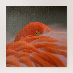 Puzzle Peeking Flamingo