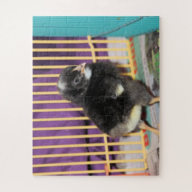 Puzzle Peep (Vertical)