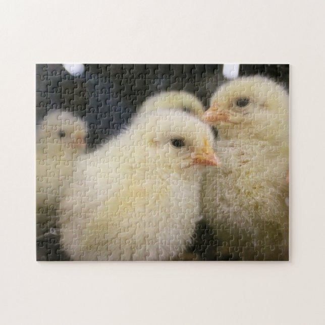 Puzzle Peeps (Horizontal)